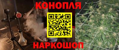 индика Партизанск