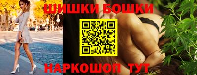 индика Партизанск